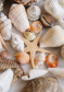 Seashells and starfish - (192,8 x 260,5 cm) 5,022m²