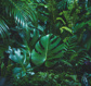Tropical forest leaves - (289,2 x 260,5 cm) 7,534m²