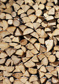 Pile of wood - (192,8 x 260,5 cm) 5,022m²
