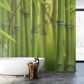 Bamboo sprouts - (91,5 x 261,5 cm) 2,393m²