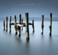 Wood trunks in smooth water - (274,5 x 261,5 cm) 7,179m²